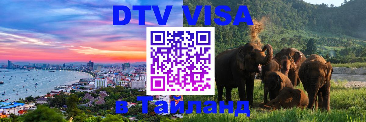 Сколько стоит DTV виза — актуальные цены, оформление даже без документов - Новокузнецк 